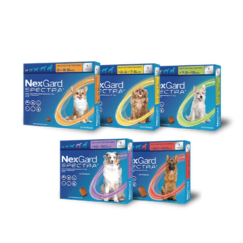 NexGard SPECTRA®